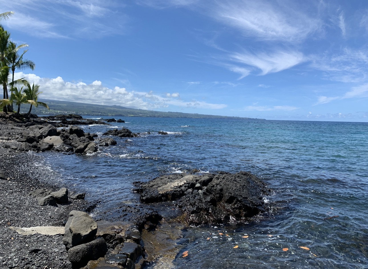 Rocky shoreline with palms, blue ocean, and clouds across the sky